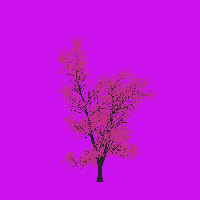 greenshift tree