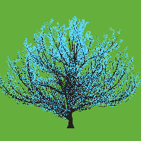 greenshift tree