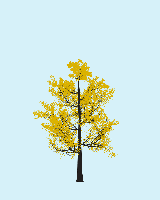 greenshift tree