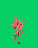 greenshift tree