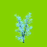 greenshift tree