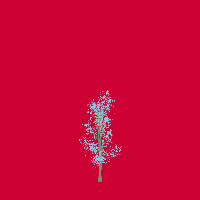 greenshift tree