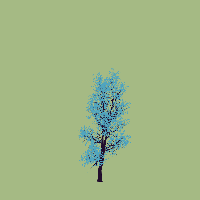 greenshift tree
