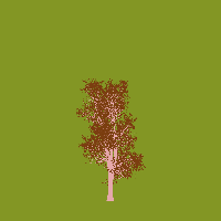 greenshift tree