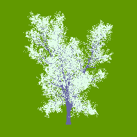 greenshift tree
