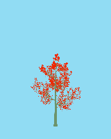 greenshift tree
