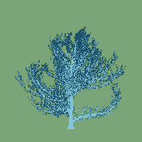 greenshift tree