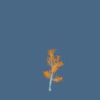 greenshift tree