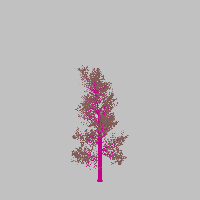 greenshift tree