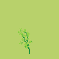 greenshift tree