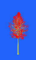 greenshift tree