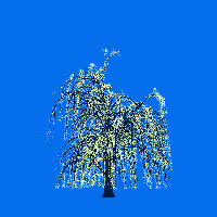 greenshift tree