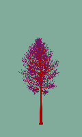 greenshift tree