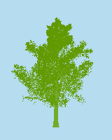 greenshift tree