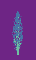 greenshift tree