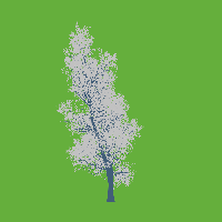 greenshift tree