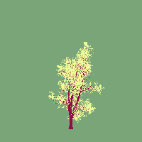 greenshift tree