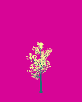 greenshift tree