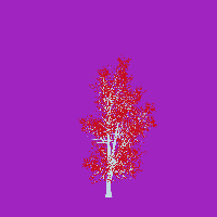 greenshift tree