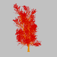greenshift tree