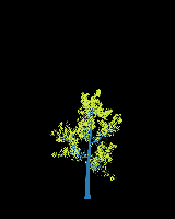 greenshift tree