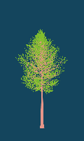 greenshift tree