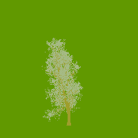 greenshift tree
