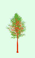 greenshift tree