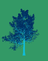 greenshift tree