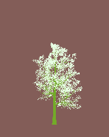 greenshift tree