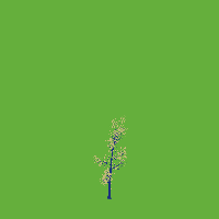 greenshift tree