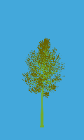 greenshift tree