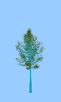 greenshift tree