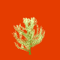 greenshift tree