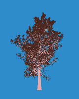 greenshift tree