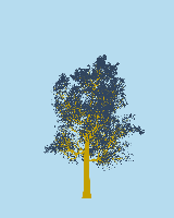 greenshift tree