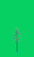 greenshift tree