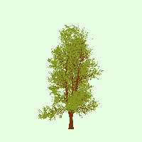 greenshift tree
