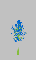 greenshift tree