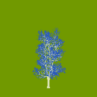 greenshift tree