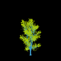 greenshift tree
