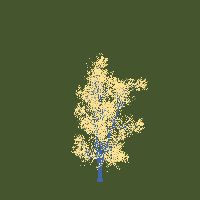 greenshift tree