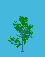 greenshift tree