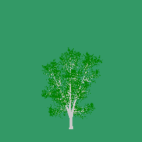 greenshift tree