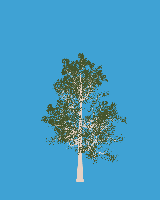 greenshift tree