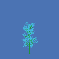 greenshift tree