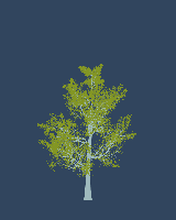 greenshift tree
