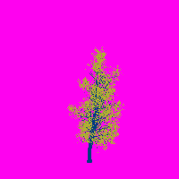 greenshift tree