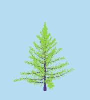 greenshift tree