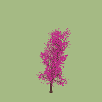 greenshift tree